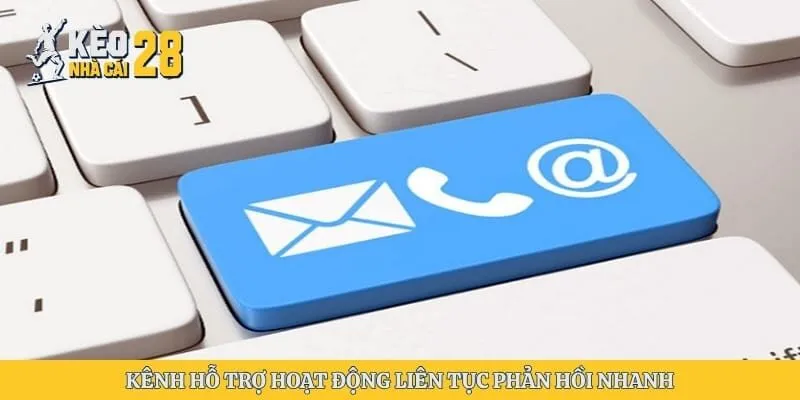 Kênh hỗ trợ hoạt động liên tục phản hồi nhanh